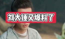 刘大锤爆料榜单最新图片,榜单风云再起，揭秘热门话题背后的秘密