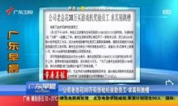 广东海丰爆料新闻事件视频,视频揭露惊人真相